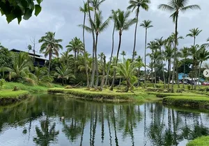 Historic Hilo Bay and Coconut Island Guided Kayak Adventure