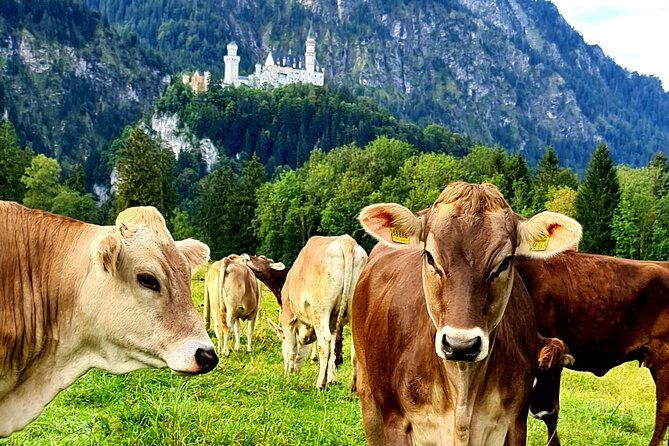 Neuschwanstein Castle, Oberammergau Private Tour from Munich