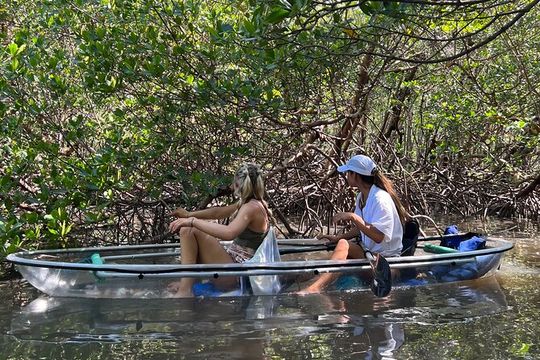 Clear Kayak Guided Eco Tour in North Naples