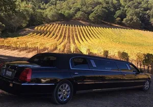 6-Hour Luxury Napa Wine Tasting Tour with Route Planning
