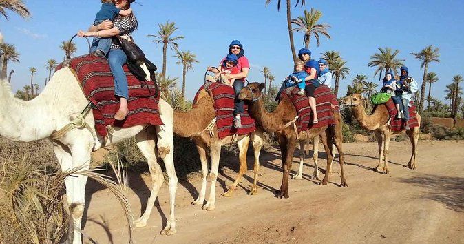 From Marrakech: Quad Bike&Camel Ride palmeraie