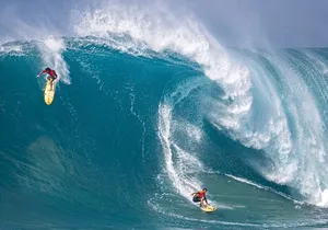 North Shore / Waimea, Falls Day & Swim with Turtles