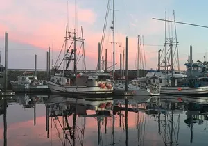 Fish Tales & Ales - 90 minute Historical Walking Tour of Fishing Fleet and Bars