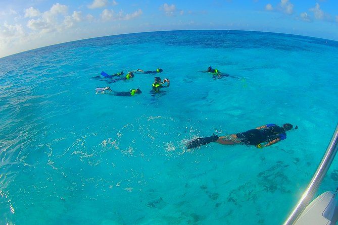 Coral Reef Private Snorkel tour out to John Pennekamp Coral Reef State Park