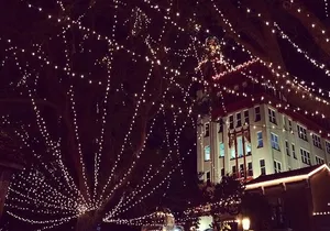 Private Nights Of Lights Tour