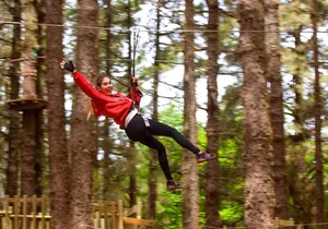 Forestal Park Tenerife Entrance Ticket