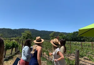 Wine Tour Pros - Napa Wine Tour: SUV Up To 6 Guests