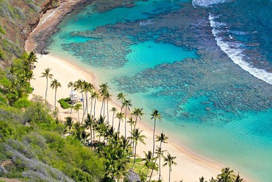 Cham Island Tour Snorkeling -Sunbathing - Nice Beach - Speedboat