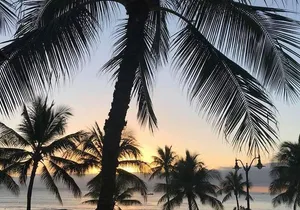 Oahu Personalized Private Tour