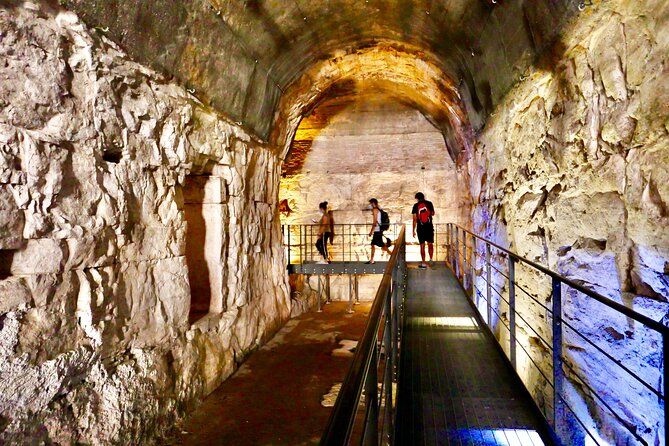 Expert Guided Tour of Colosseum or Arena or Underground & Forum