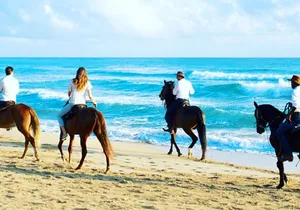Punta Cana Beach Horseback Riding