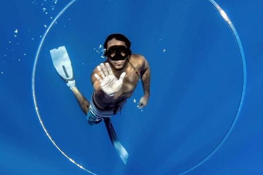 Ultimate Ocean Encounters Midday Snorkel