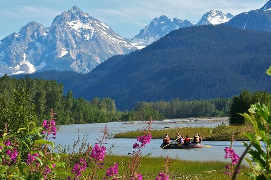 Half-Day Chilkat Bald Eagle Preserve Float Tour