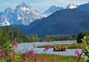 Half-Day Chilkat Bald Eagle Preserve Float Tour