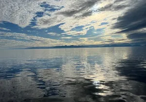 *New* Exclusive Premier Ketchikan Tour(Up to 6 Passengers)