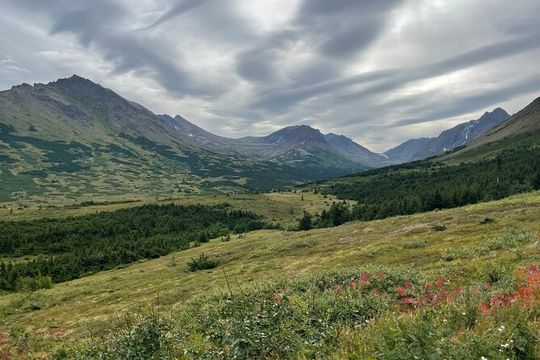 Chugach State Park Nature Walk