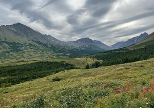 Chugach State Park Nature Walk