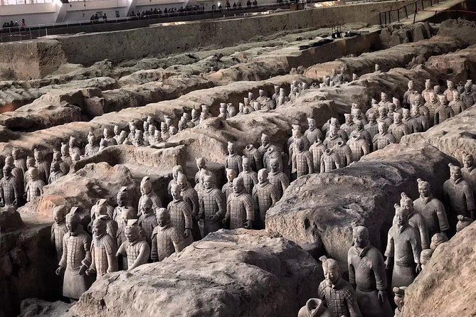 Mini Group: Half-Day Xi'an Terracotta Warriors Discovery Tour