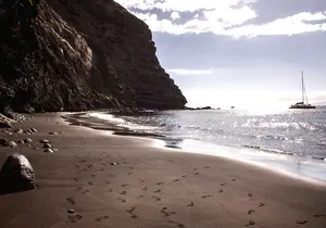 Whale watching and listening Eco-Catamaran Tour with Food Tasting