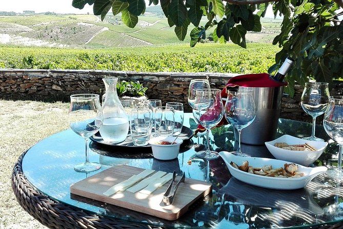 Douro Valley Best-Of Private Tour – Fully Customizable Experience