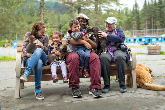 Turning Heads Kennel Dogsledding Experience & Tour