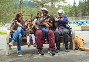 Turning Heads Kennel Dogsledding Experience & Tour