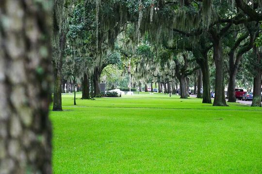 Savannah Irish History Walking Tour
