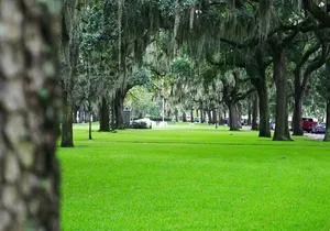 Savannah Irish History Walking Tour
