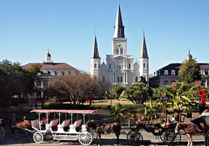 Private French Quarter Walking and City Surrounding Neighborhoods Driving Tour