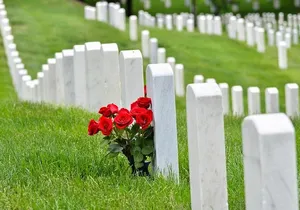 Private Tour of Washington, DC by Van to Honor Our Heroes