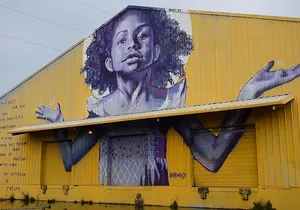 New Orleans Sightseeing City Tour