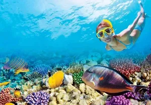 Full-Day Key West Tour and Coral Reef Snorkeling with Open Bar