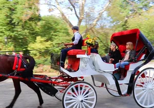 NYC Central Park Horse Carriage Ride (Up to 4 Adults)