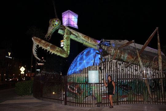 The Weird, Wacky Fremont Bar Experience with Cocktails and Photos