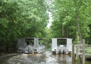 Jean Lafitte 90-Minute Swamp and Bayou Boat Tour