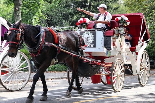 Central Park Carriage Ride w/ Drop Off @ Tavern On Green (45 min)