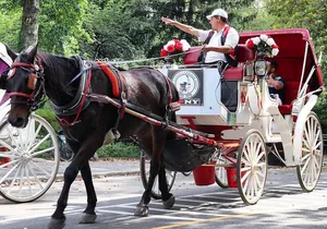 Central Park Carriage Ride w/ Drop Off @ Tavern On Green (45 min)