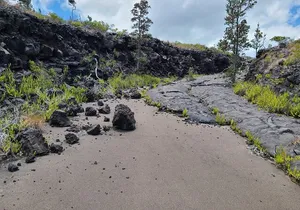 Private Tour of Hawaii Volcanoes National Park