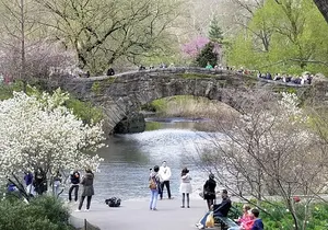 Central Park Secrets And Highlights