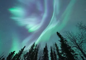 Northern Lights Viewing at Murphy Dome