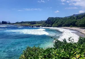 Maui Excursion : Road to Hana With Pickup & Lunch