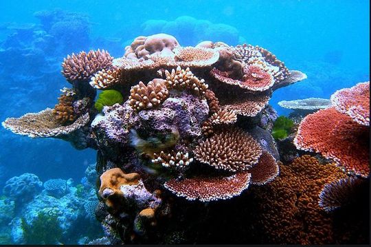 Eco Sea Scooter Guided Beach Tour From The Famous Kapalua Bay