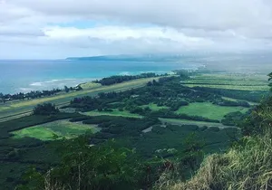 North Shore Tour Guide Hike