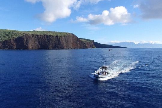 Eco-Raft Tour: Maui-Lanai Snorkel / Dolphin Watch (Semi-Private)