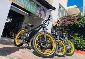 Electric Bike City Tour and Mountain route