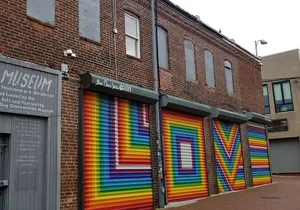 Historic Alleyways Guided Walking Tour of Washington DC