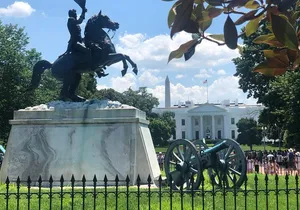 DC Daylight Tour™ Private Luxury Tour of Washington DC