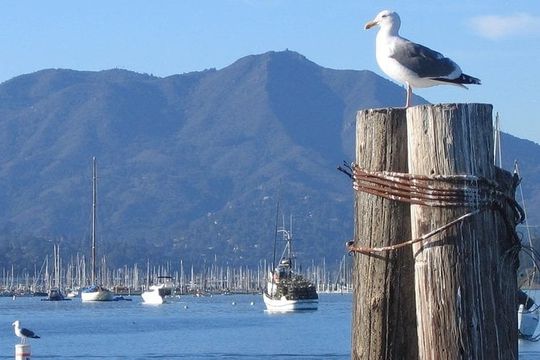 Sausalito Ferry from Pier 41, San Francisco