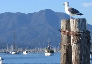 Sausalito Ferry from Pier 41, San Francisco