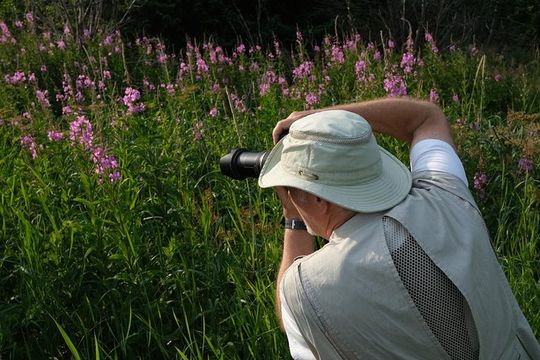 Exclusive Photography Tour Haines Departure